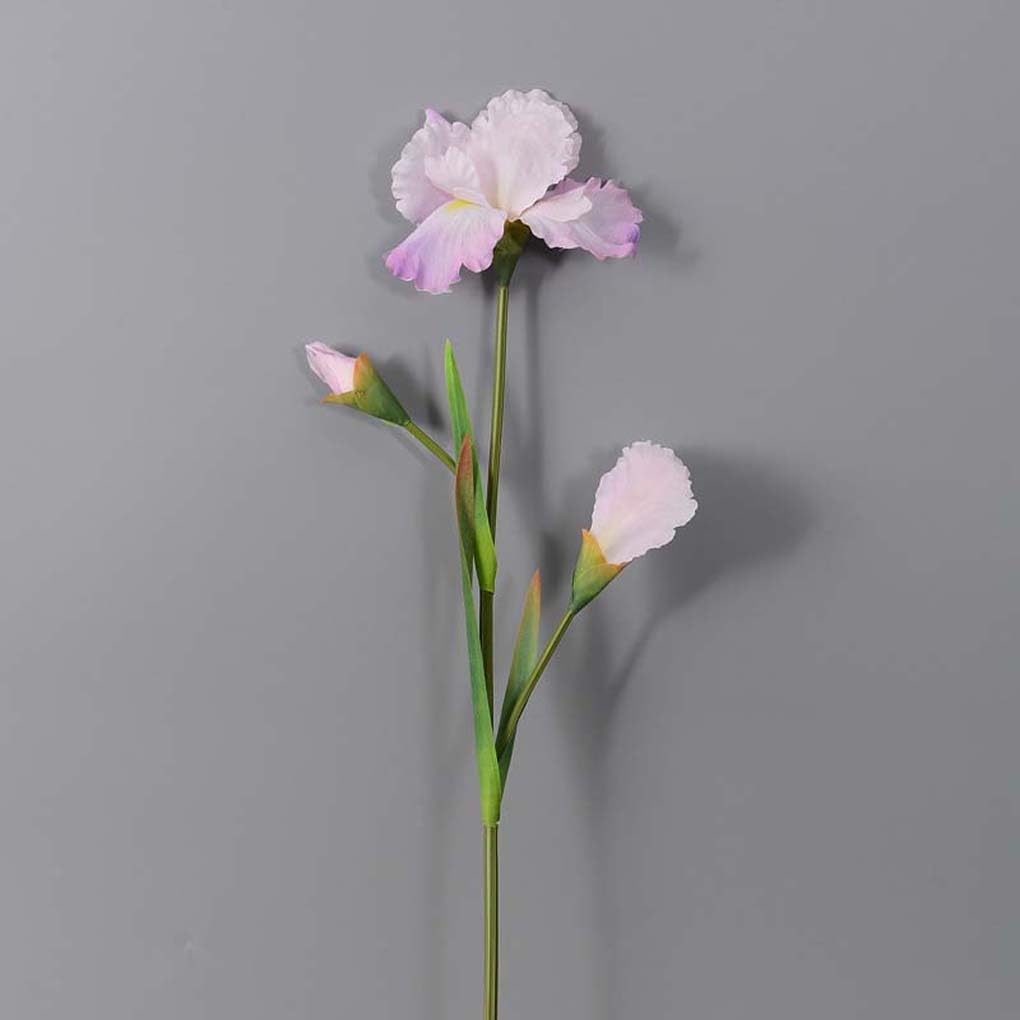 Amazon｜Foxace 造花 イチハツ 北欧風 インテリア フェイクフラワー